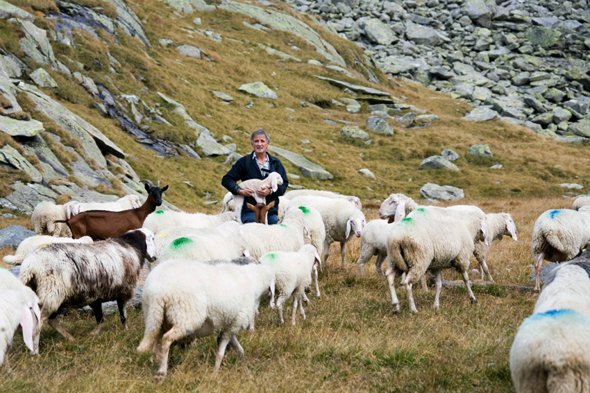 alex fischer, fotograf, darmstadt, ahrntal, sd tirol, jaeger, revier, berge, fernglas, gewehr, hund