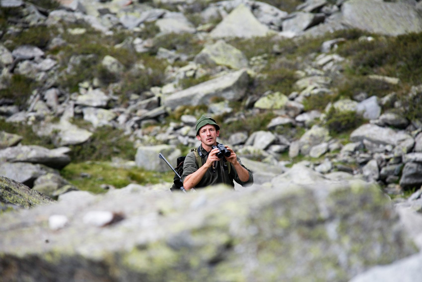 alex fischer, fotograf, darmstadt, ahrntal, sd tirol, schaefer, schafe, alm, almabtrieb, lamm