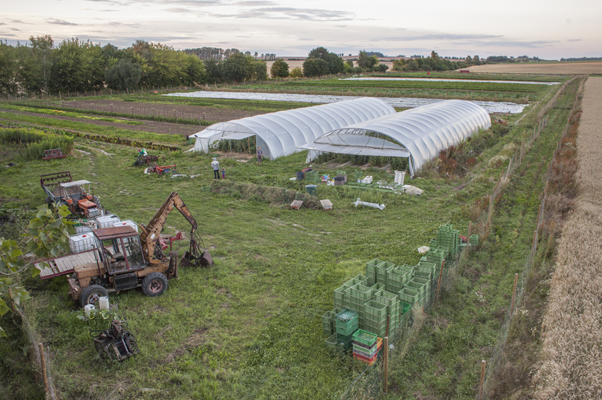 alex fischer, fotograf, darmstadt, 2014, CSA, consumer supported agriculture, kommune, rote beete, leipzig