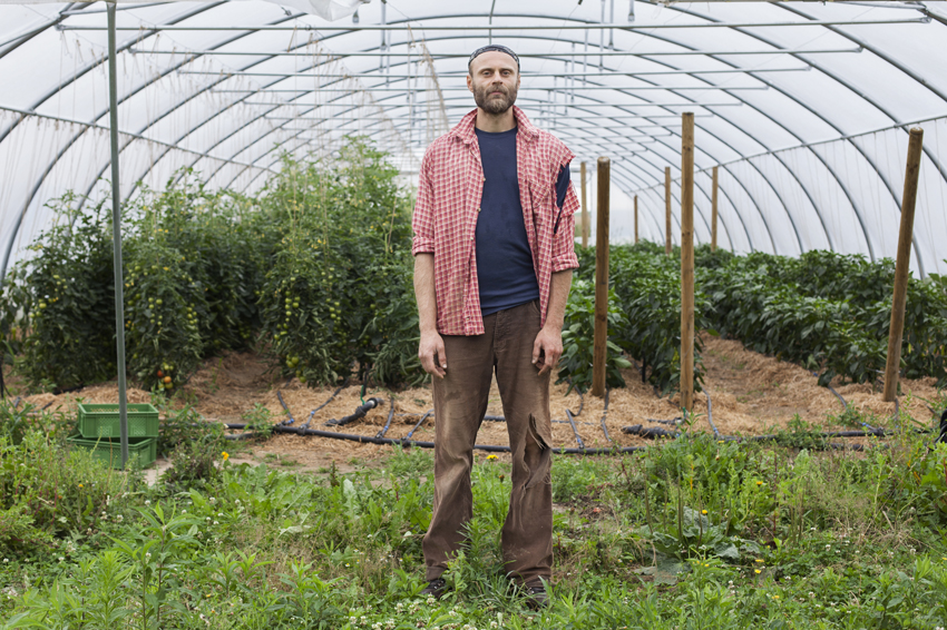 alex fischer, fotograf, darmstadt, 2014, CSA, consumer supported agriculture, kommune, rote beete, leipzig